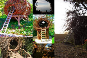 Postanite ptica zahvaljujući hotelima jason falna